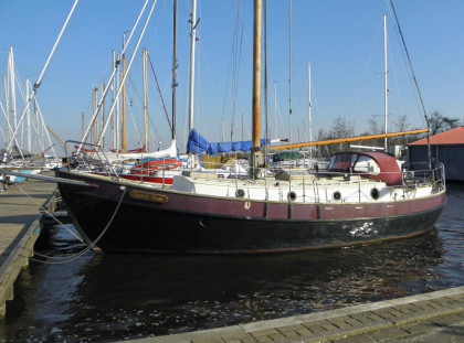 Danish Rose 33