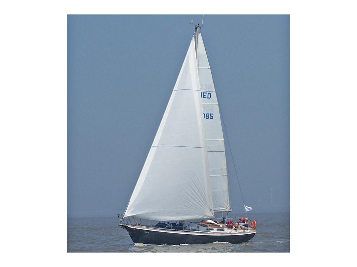 Koopmans 36 Midzwaard